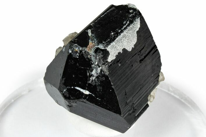 Smoky Quartz on Double-Terminated Black Tourmaline - Namibia #348750